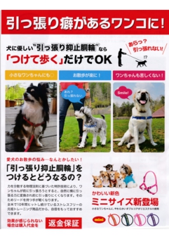 加古川のトリミングサロン「チャクル」がお勧めするトレーニンググッズ引っ張り抑止胴輪のパンフレット画像です。