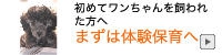 加古川のトリミングサロン「チャクル」がおすすめしている体験保育へのリンクです。初めてわんちゃんを飼われる方へ特におすすめしております。