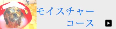 加古川のトリミングサロン「ちゃくる」がおすすめしているモイスチャーコースです。温浴でツヤツヤふわふわに