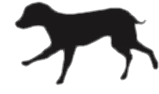 LinkIcon